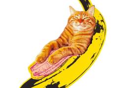 Andy Warhol, Banana Cat